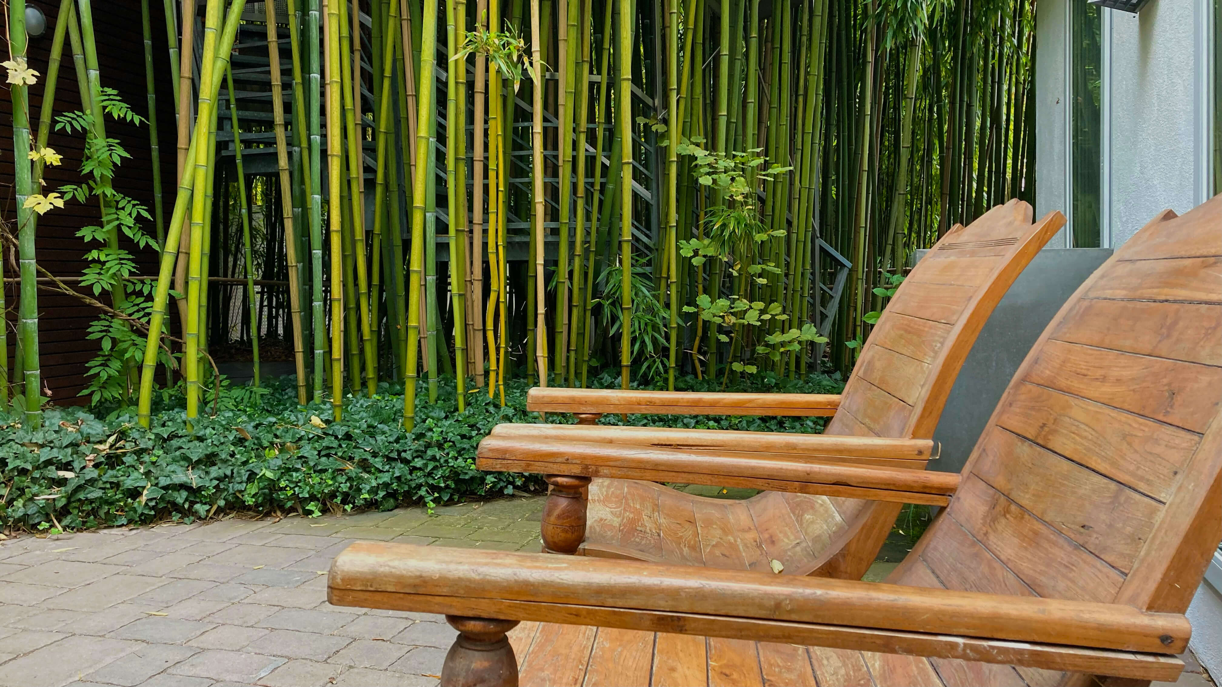 Lofi bambus